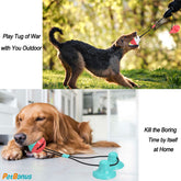 Pet Dog Puppy Chew Toys for Teething Small Dogs,Soft Natural Rubber Pink Interactive Dog Puppy Toys Fun Cleaning Squeaky,Funny Dog Chew Toys for Small Medium Breed