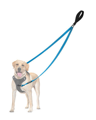 PetBonus Two Point Control Dog Leash, Works with No Pull Harnesses, No Tangle Training Leashes, Soft Padded and Reflective Walking Lead, Converts to Single Lead for Medium Large Dogs Light Blue Dog Leashes