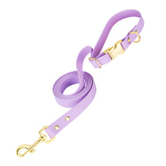 PetBonus Waterproof Dog leash, 5 FT Odor Proof Walking Training lead for Small Medium dog, Adjustable Handle with Side Release Buckle