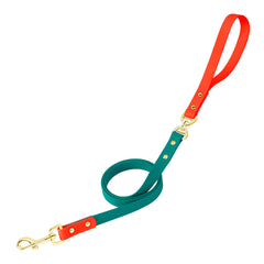 PetBonus No Tangle Waterproof Dog Leash, 5 FT Odor Proof Walking Training Lead, Non-Slip and Easy to Clean Puppy leashes for Small Medium Breeds Dogs