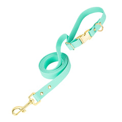 PetBonus Waterproof Dog leash, 5 FT Odor Proof Walking Training lead for Small Medium dog, Adjustable Handle with Side Release Buckle