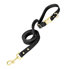 PetBonus Waterproof Dog leash, 5 FT Odor Proof Walking Training lead for Small Medium dog, Adjustable Handle with Side Release Buckle