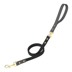 PetBonus No Tangle Waterproof Dog Leash, 5 FT Odor Proof Walking Training Lead, Non-Slip and Easy to Clean Puppy leashes for Small Medium Breeds Dogs