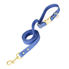 PetBonus Waterproof Dog leash, 5 FT Odor Proof Walking Training lead for Small Medium dog, Adjustable Handle with Side Release Buckle