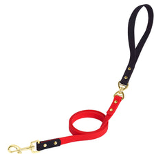PetBonus No Tangle Waterproof Dog Leash, 5 FT Odor Proof Walking Training Lead, Non-Slip and Easy to Clean Puppy leashes for Small Medium Breeds Dogs