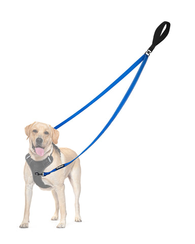 PetBonus Two Point Control Dog Leash, Works with No Pull Harnesses, No Tangle Training Leashes, Soft Padded and Reflective Walking Lead, Converts to Single Lead for Medium Large Dogs Blue Dog Leashes