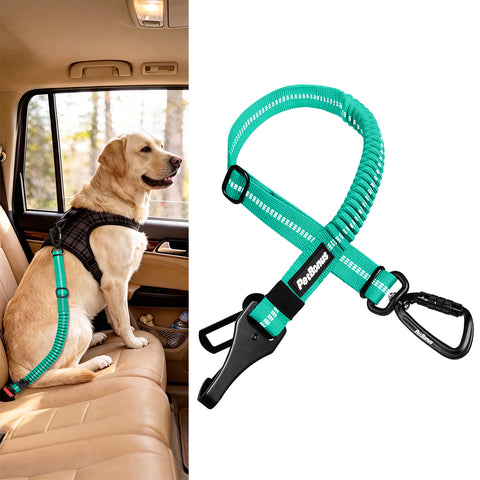 PetBonus Dog Seat Belt for Car, Durable Safe Dog Car Harness for Vehicle, Adjustable Pet Tether Safety Restraint, Elastic Bungee Buffer, Autolocking, Heavy Duty Buckle, Hook Latch, For All Breeds