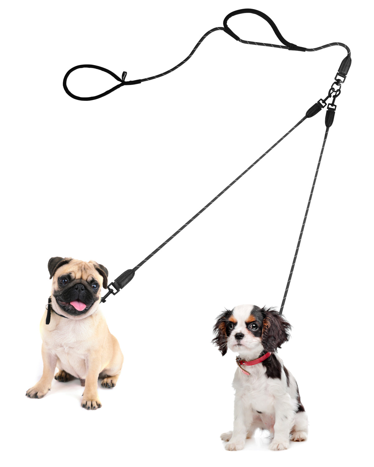 PetBonus Rope Double Dog Leash, No Tangle Dual Leash, Reflective Walking Training Lead with Two Comfortable Padded Handles, Lead Coupler for Small Medium Dogs (11-55 lbs)