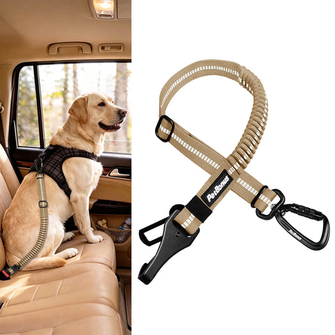 PetBonus Dog Seat Belt for Car, Durable Safe Dog Car Harness for Vehicle, Adjustable Pet Tether Safety Restraint, Elastic Bungee Buffer, Autolocking, Heavy Duty Buckle, Hook Latch, For All Breeds