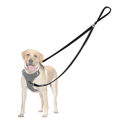 PetBonus Two Point Control Dog Leash, Works with No Pull Harnesses, No Tangle Training Leashes, Soft Padded and Reflective Walking Lead, Converts to Single Lead for Medium Large Dogs Black Dog Leashes