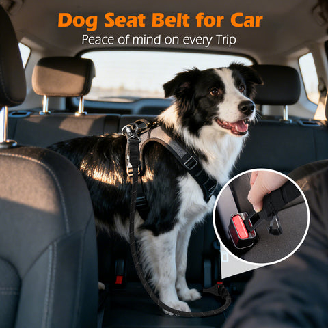 PetBonus Dog Seat Belt for Car, Durable Rope Dog Car Harness Seatbelt for Vehicle, Pet Tether Safety Restraint with Heavy Duty Buckle Hook Latch Lockable Clip for Small Medium Large Breeds