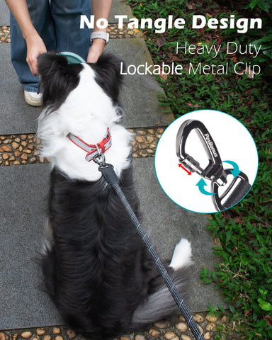 PetBonus Double Handle Rope Dog Leash, 5FT Heavy Duty Training Lead with Lockable Hook and 2 Comfortable Padded Handles, Reflective Walking Nylon Leash for Large Medium Dogs (55-200 lbs)