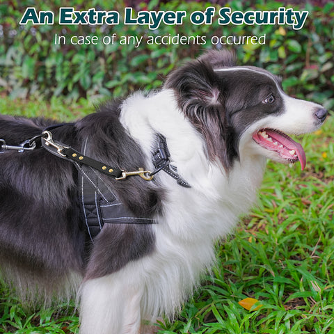 PetBonus Dog Collar Safety Clip, Waterproof Backup Safety Strap for Dog Harness to Prong Collar, Odor Proof Double Ended Clasp Leash Connector for Training Walking Pet Leashes