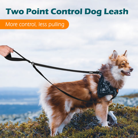 PetBonus Two Point Control Dog Leash, Works with No Pull Harnesses, No Tangle Training Leashes, Soft Padded and Reflective Walking Lead, Converts to Single Lead for Medium Large Dogs Dog Leashes