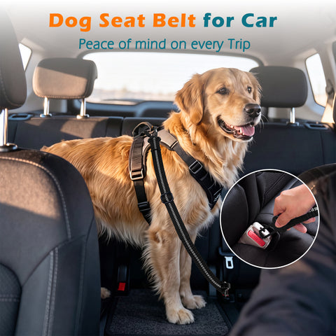 PetBonus Dog Seat Belt for Car, Durable Safe Dog Car Harness for Vehicle, Adjustable Pet Tether Safety Restraint, Elastic Bungee Buffer, Autolocking, Heavy Duty Buckle, Hook Latch, For All Breeds