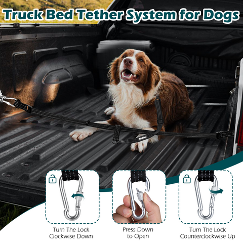 PetBonus Truck Bed Dog Leash, Dog Truck Tether Tie Down, Adjustable Safety Dog Leash for Truck, Comfortable Pick-Up Bed Restraint Lead, Ratchet Tightening Dog Car Harness Belt for Dogs Dog Leashes