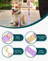 PetBonus Waterproof Dog leash, 5 FT Odor Proof Walking Training lead for Small Medium dog, Adjustable Handle with Side Release Buckle