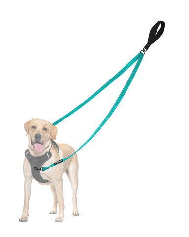 PetBonus Two Point Control Dog Leash, Works with No Pull Harnesses, No Tangle Training Leashes, Soft Padded and Reflective Walking Lead, Converts to Single Lead for Medium Large Dogs Turquoise Dog Leashes