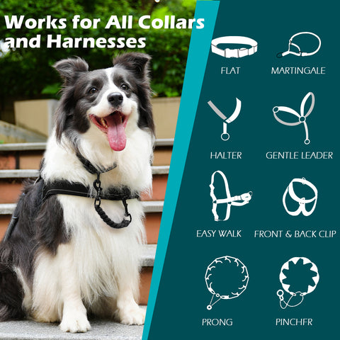 PetBonus Dog Collar Companion, Handmade Backup Safety Strap Clip for Dog Harness, Prong Collar, Pinch Collar, Double Ended Clasp Leash Connector