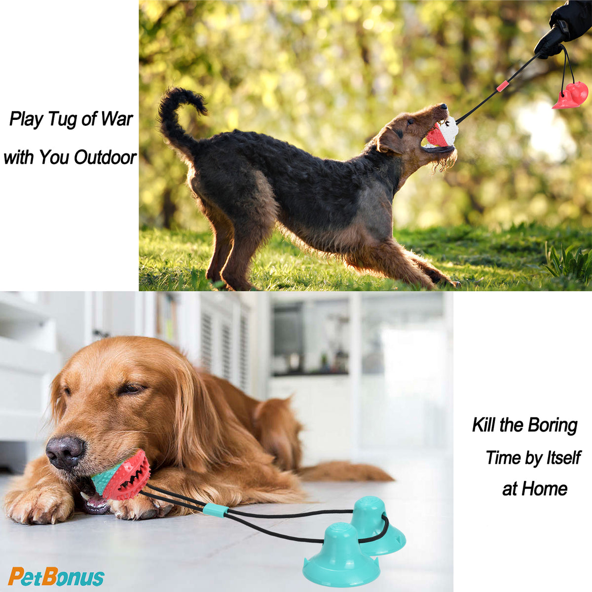 Pet Dog Puppy Chew Toys for Teething Small Dogs,Soft Natural Rubber Pink Interactive Dog Puppy Toys Fun Cleaning Squeaky,Funny Dog Chew Toys for Small Medium Breed