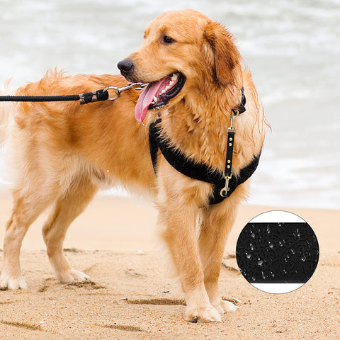 PetBonus Dog Collar Safety Clip, Waterproof Backup Safety Strap for Dog Harness to Prong Collar, Odor Proof Double Ended Clasp Leash Connector for Training Walking Pet Leashes
