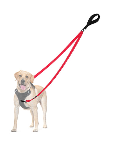 PetBonus Two Point Control Dog Leash, Works with No Pull Harnesses, No Tangle Training Leashes, Soft Padded and Reflective Walking Lead, Converts to Single Lead for Medium Large Dogs Red Dog Leashes