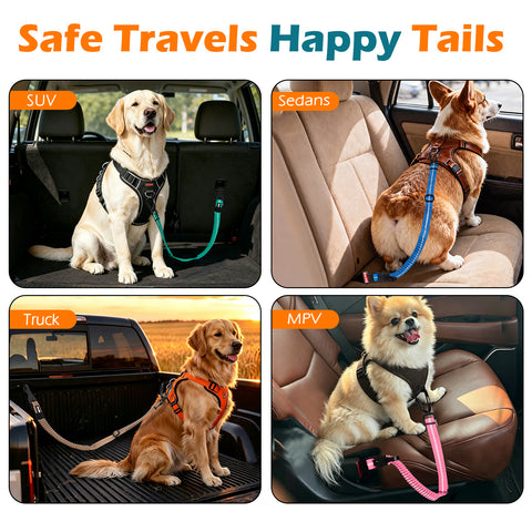 PetBonus Dog Seat Belt for Car, Durable Safe Dog Car Harness for Vehicle, Adjustable Pet Tether Safety Restraint, Elastic Bungee Buffer, Autolocking, Heavy Duty Buckle, Hook Latch, For All Breeds