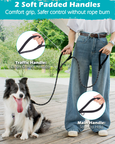 PetBonus Double Handle Rope Dog Leash, 5FT Heavy Duty Training Lead with Lockable Hook and 2 Comfortable Padded Handles, Reflective Walking Nylon Leash for Large Medium Dogs (55-200 lbs)
