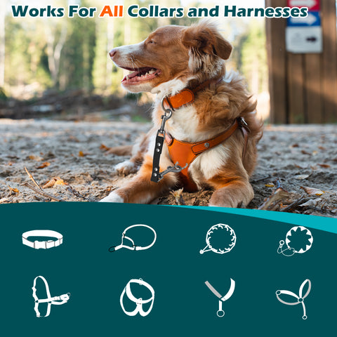 PetBonus Waterproof Dog Collar Safety Clip, Double Ended Leash Backup Clasp, Odor Proof, Escape Proof, Durable Leash Connector for Harness, Prong, Standard Collars, Training Walking, Black