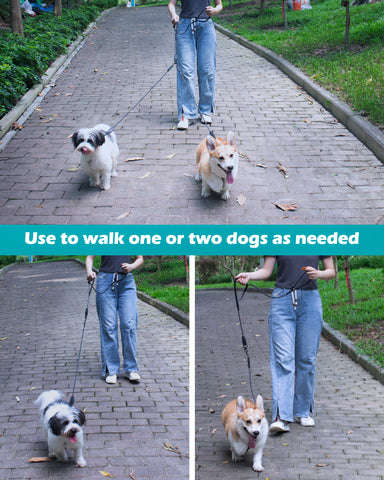 PetBonus Double Dog Leash, Two Dog Leash No Tangle, Reflective Dual leash attachment with Padded Handles, Walking Training Lead for All Breeds Dog Leashes