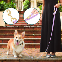 PetBonus Waterproof Dog leash, 5 FT Odor Proof Walking Training lead for Small Medium dog, Adjustable Handle with Side Release Buckle