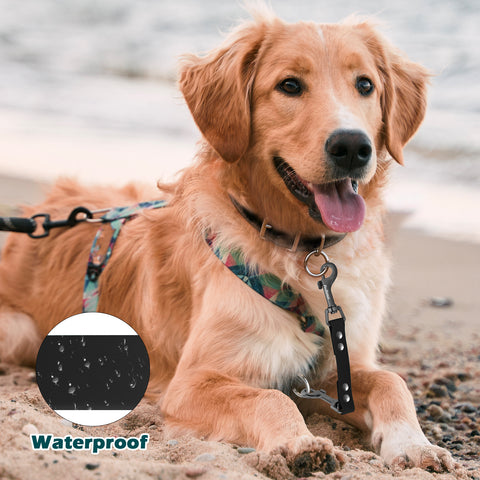 PetBonus Waterproof Dog Collar Safety Clip, Double Ended Leash Backup Clasp, Odor Proof, Escape Proof, Durable Leash Connector for Harness, Prong, Standard Collars, Training Walking, Black