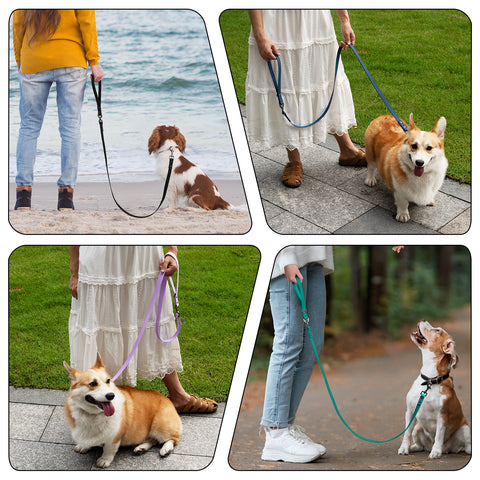 PetBonus Waterproof Dog Leash, 5 FT Odor Proof Walking Training Lead, No Tangle and Easy to Clean Puppy leashes for Small Medium Breeds Dogs