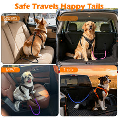 PetBonus Dog Seat Belt for Car, Durable Rope Dog Car Harness Seatbelt for Vehicle, Pet Tether Safety Restraint with Heavy Duty Buckle Hook Latch Lockable Clip for Small Medium Large Breeds