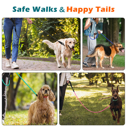 PetBonus Rope Dog Leash, 5 FT Heavy Duty Pet Nylon Leash with Auto Locking Aviation Aluminum Carabiner, Comfortable Padded Handle, Reflective Walking Training Lead for Medium Large Breeds