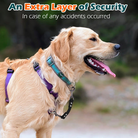 PetBonus Waterproof Dog Collar Safety Clip, Double Ended Leash Backup Clasp, Odor Proof, Escape Proof, Durable Leash Connector for Harness, Prong, Standard Collars, Training Walking, Black