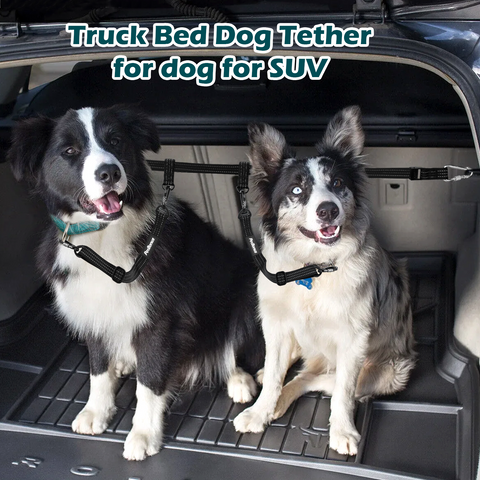 PetBonus Truck Bed Dog Leash, Dog Truck Tether Tie Down, Adjustable Safety Dog Leash for Truck, Comfortable Pick-Up Bed Restraint Lead, Ratchet Tightening Dog Car Harness Belt for Dogs Dog Leashes