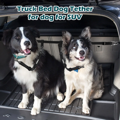 PetBonus Truck Bed Dog Leash, Dog Truck Tether Tie Down, Adjustable Safety Dog Leash for Truck, Comfortable Pick-Up Bed Restraint Lead, Ratchet Tightening Dog Car Harness Belt for Dogs