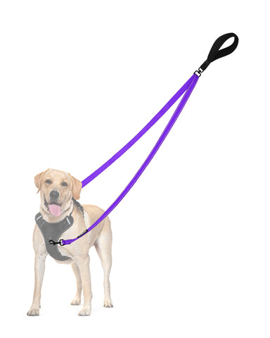 PetBonus Two Point Control Dog Leash, Works with No Pull Harnesses, No Tangle Training Leashes, Soft Padded and Reflective Walking Lead, Converts to Single Lead for Medium Large Dogs Purple Dog Leashes