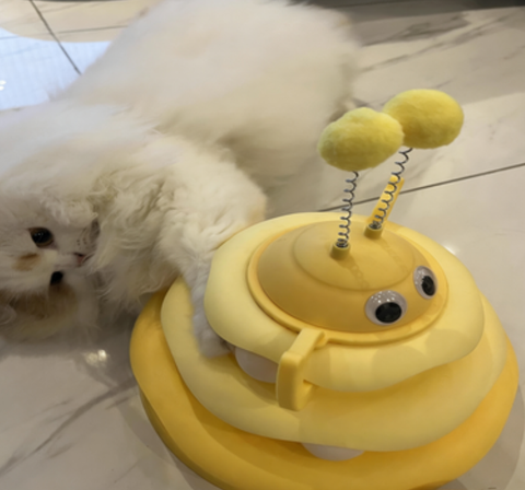 Dokote Cat Toy Set – Interactive Wobble Tumbler + Track Ball + Swing Ball, Self-Play Puzzle Toy for Kittens & Adult Cats, Colorful Anti-Boredom Toy (Random Color)