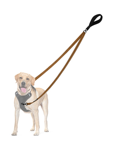 PetBonus Two Point Control Dog Leash, Works with No Pull Harnesses, No Tangle Training Leashes, Soft Padded and Reflective Walking Lead, Converts to Single Lead for Medium Large Dogs Brown Dog Leashes