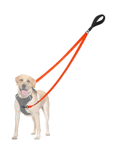 PetBonus Two Point Control Dog Leash, Works with No Pull Harnesses, No Tangle Training Leashes, Soft Padded and Reflective Walking Lead, Converts to Single Lead for Medium Large Dogs Orange Dog Leashes
