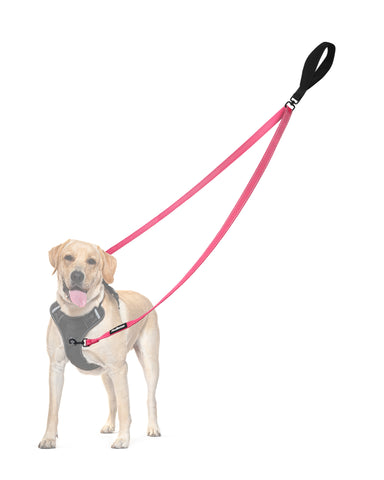 PetBonus Two Point Control Dog Leash, Works with No Pull Harnesses, No Tangle Training Leashes, Soft Padded and Reflective Walking Lead, Converts to Single Lead for Medium Large Dogs Pink Dog Leashes